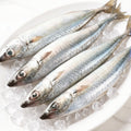 Fresh Mackerel
