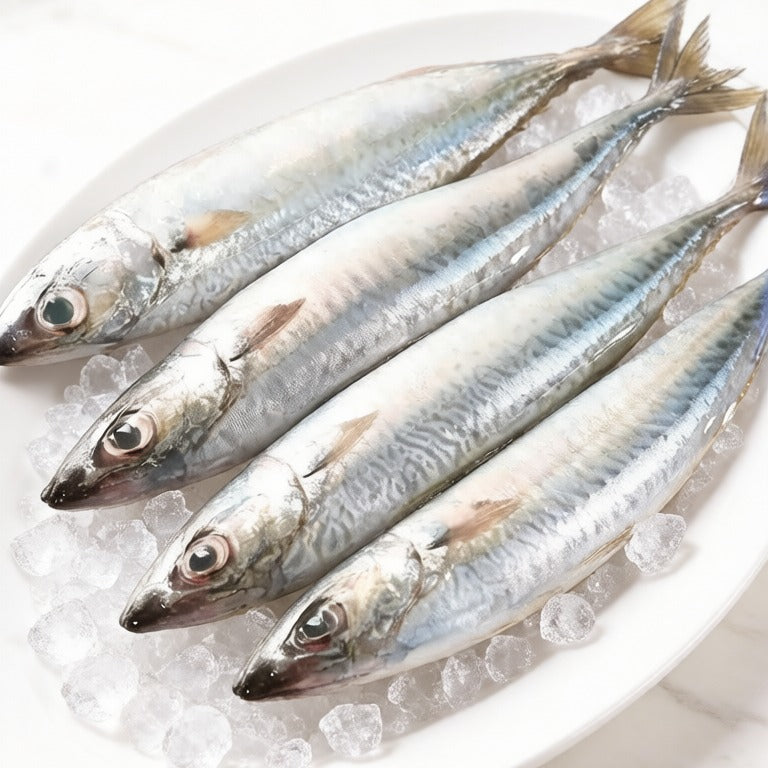 Fresh Mackerel